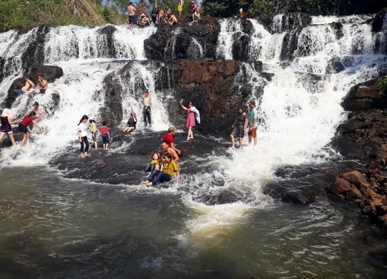 Thông tin từ đường dây nóng